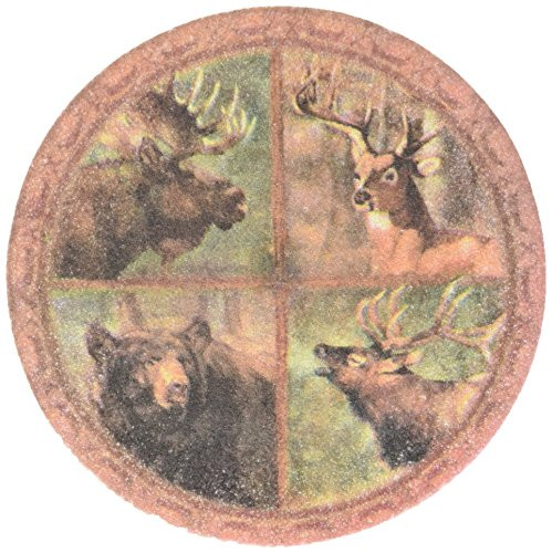 Thirstystone Stoneware Wildlife Collage Coaster, Multicolor