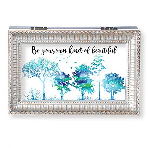 Roman Music Boxes - Own Kind of Beautiful Pearlized Silver Finish Music Box, Wind Up Sankyo Musical Movement, Velvet Lining, Fits 6.5" W x 4.5" H Photo - Plays Clair De Lune Roman Music Boxes - Own Kind of Beautiful Pearlized Silver Finish Music Box, Wind Up Sankyo Musical Movement, Velvet Lining, Fits 6.5" W x 4.5" H Photo - Plays Clair De Lune