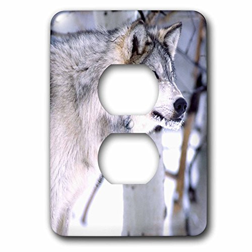 3dRose LLC lsp_83898_6 Timber Wolf, Canis Lupus Na02 Dno0318 David Northcott 2 Plug Outlet Cover 3dRose LLC lsp_83898_6 Timber Wolf, Canis Lupus Na02 Dno0318 David Northcott 2 Plug Outlet Cover