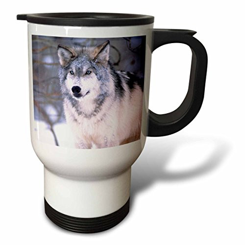3dRose Timber Wolf, Canis Lupus NA02 DNO0319 David Northcott, Stainless Steel Travel Mug, 14-Ounce 3dRose Timber Wolf, Canis Lupus NA02 DNO0319 David Northcott, Stainless Steel Travel Mug, 14-Ounce