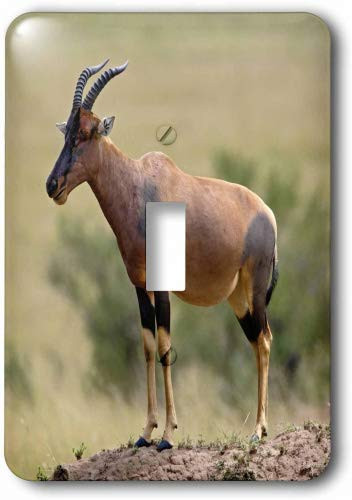 3dRose lsp_69804_6 Topi antelope, termite mound, Masai Mara GR, Kenya Plug Outlet Cover