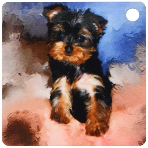 3dRose Toy Yorkie Puppy - Key Chains, 2.25 x 4.5 inches, set of 2 (kc_3868_1)