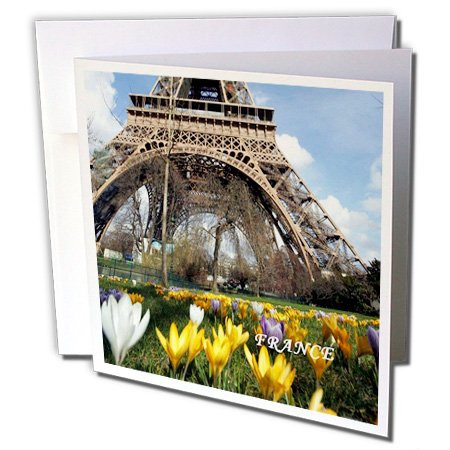 3dRose Tulips At Bottom Of Eiffel Tower - Greeting Cards, 6 x 6 inches, set of 6 (gc_80882_1)