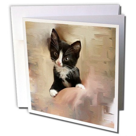 3dRose tuxedo kitten - Greeting Cards, 6 x 6 inches, set of 12 (gc_153164_2)