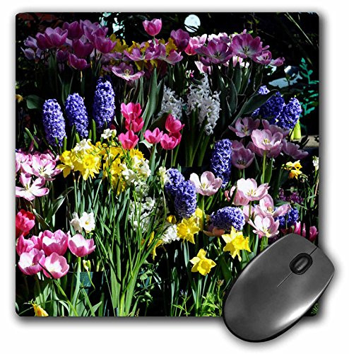 3dRose LLC 8 X 8 X 0.25 Inches Mouse Pad, Wall of Flowers (mp_33090_1)