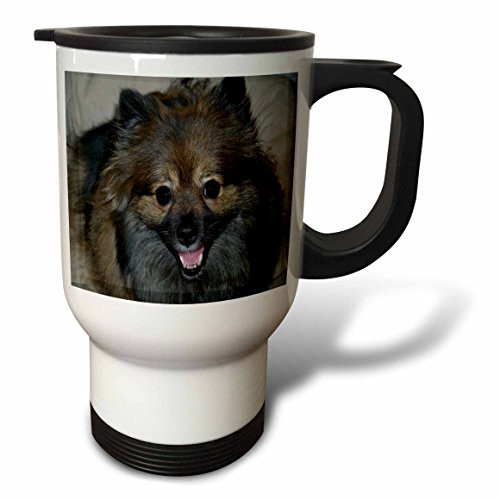 3dRose Wolf Sable Pomeranian Stainless Steel Travel Mug, 14-Ounce