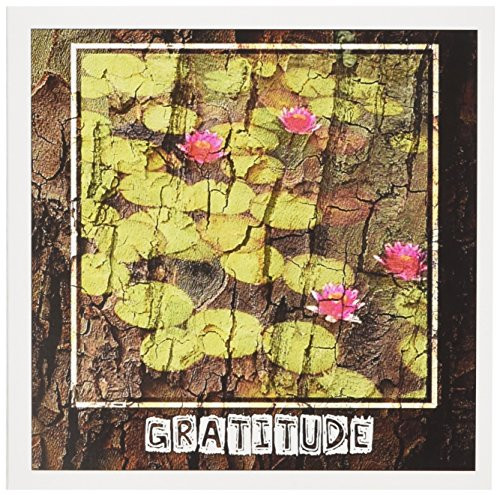 3dRose Zen Gratitude Lotus Tree Bark Art Spirituality Motivational - Greeting Cards, 6 x 6 inches, set of 6 (gc_29479_1) 3dRose Zen Gratitude Lotus Tree Bark Art Spirituality Motivational - Greeting Cards, 6 x 6 inches, set of 6 (gc_29479_1)