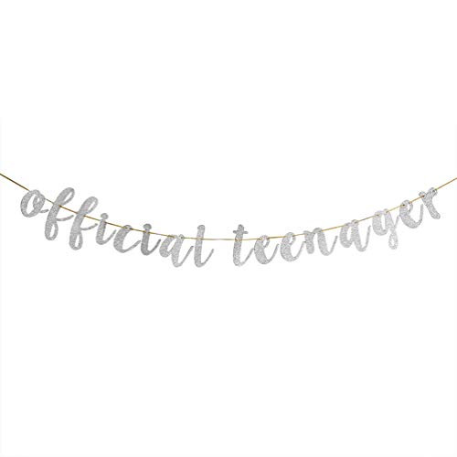 Glitter Silver Official Teenager Banner - 13th Birthday Banner - Hello 13 Thirteen Years Old Party Bunting Decoration Glitter Silver Official Teenager Banner - 13th Birthday Banner - Hello 13 Thirteen Years Old Party Bunting Decoration
