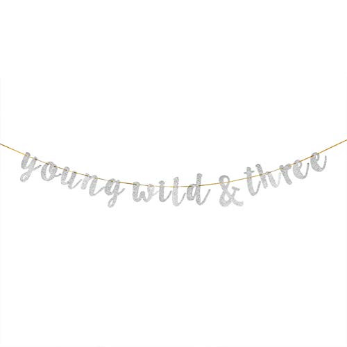 Glitter Silver Young Wild & Three Banner - Boy or Girl 3rd Birthday Banner Happy 3rd Birthday Bunting Party Decoration Glitter Silver Young Wild & Three Banner - Boy or Girl 3rd Birthday Banner Happy 3rd Birthday Bunting Party Decoration