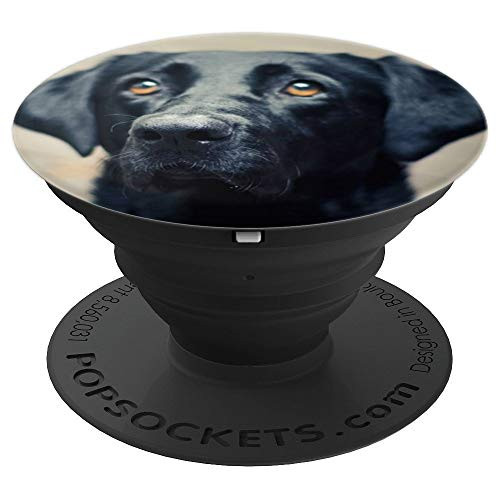 Black Lab for Dog Lovers, Labrador Retriever Phone Accessory PopSockets Grip and Stand for Phones and Tablets Black Lab for Dog Lovers, Labrador Retriever Phone Accessory PopSockets Grip and Stand for Phones and Tablets