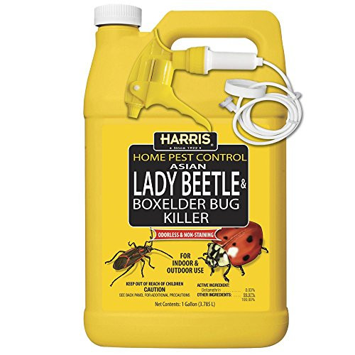 HARRIS Asian Lady Beetle and Box Elder Killer, Liquid Spray with Odorless and Non-Staining Extended Residual Kill Formula (Gallon)