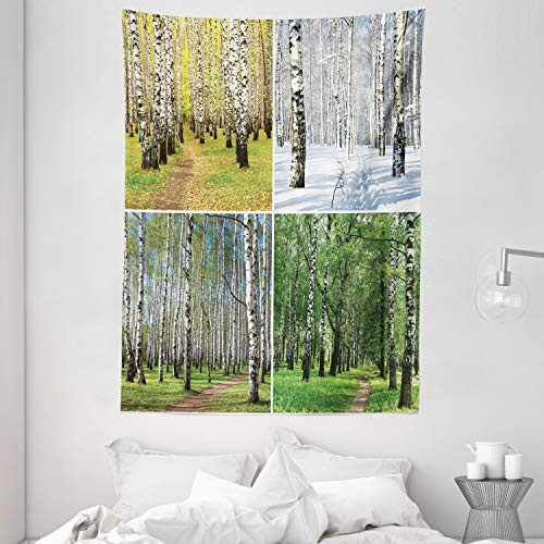 Ambesonne Landscape Tapestry, Pathway in Woodland Birch Tree Jungle in The Fall Winter Spring Summer Season, Wall Hanging for Bedroom Living Room Dorm, 60" X 80", White Green