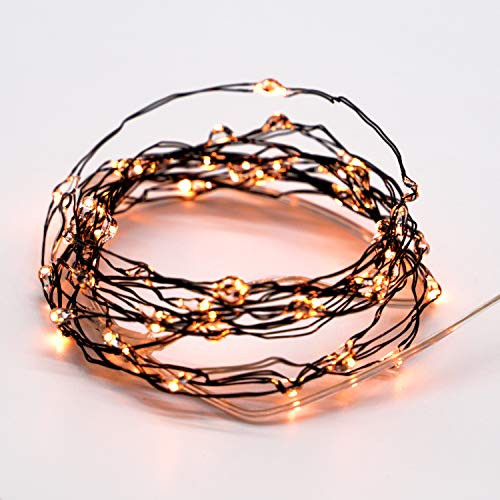 MIYA LIFE Halloween Orange String Lights 10ft 60LEDs Copper Wire with Remote & Timer for Fall Thanksgiving Christmas Birthday Gift Autumn Indoor Outdoor Parties Home Bedroom Bar Decoration