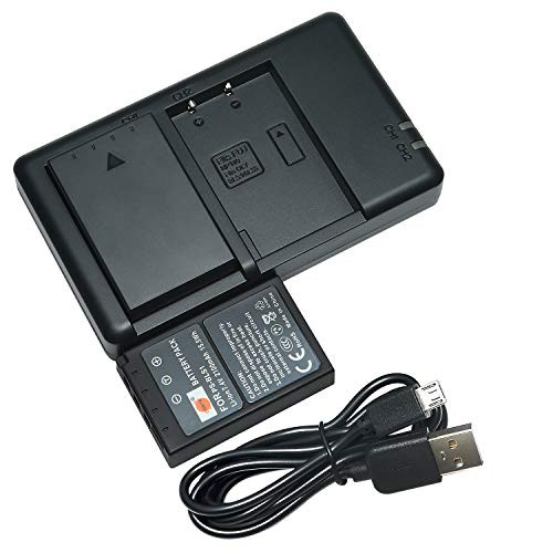 DSTE Replacement for 2X BLS-1 Battery + Rapid Dual Charger with Micro USB Cable Compatible Olympus E-400 E-410 E-420 E-450 E-600 E-620 E-P1 E-P2 E-P3 E-PL1 E-PL3 E-PM1 Camera as PS-BLS1