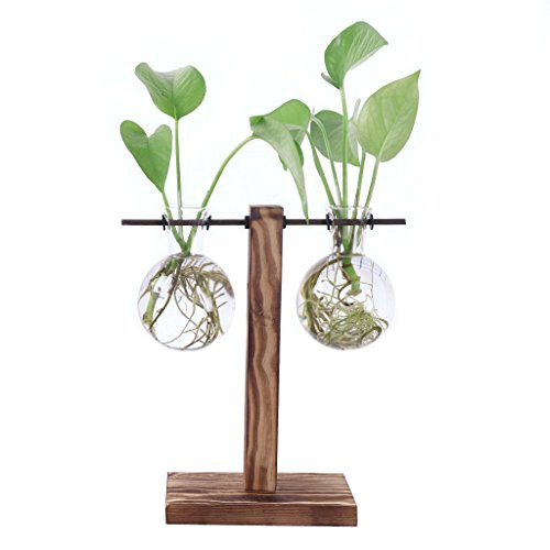 Ivolador Glass Planter Bulb Vase, Desktop Glass Libra Planter Bulb Vase Hanging with Retro Solid Wooden Stand for Hydroponics Plants Office Desk Wedding Decor (2 Bulb Vase)