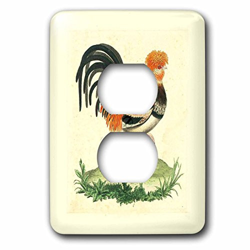 3dRose lsp_62339_6" 1770 French Vintage Rooster Print 2 Plug Outlet Cover