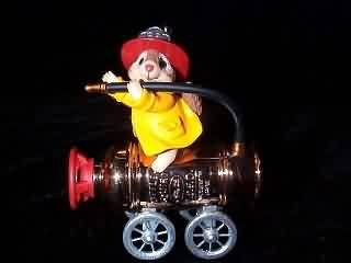 Hallmark Keepsake Ornament - North Pole Reserve 1998