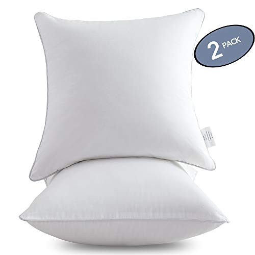 Leeden 20 x 20 Pillow Inserts (Set of 2) - Throw Pillow Inserts with 100% Cotton Cover - 18 Inch Square Interior Sofa Pillow Inserts - Decorative Pillow Insert Pair - White Couch Pillow