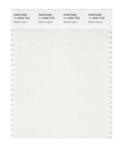 PANTONE SMART 11-4300X Color Swatch Card, Marshmallow