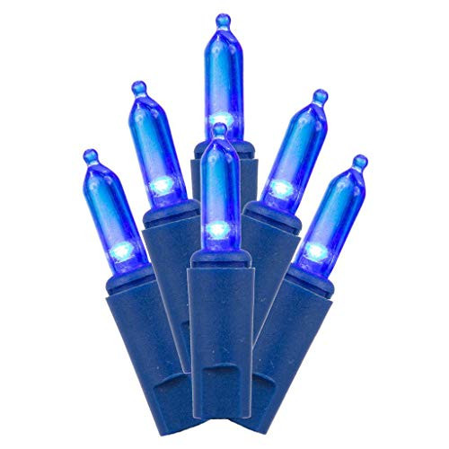 Vickerman LED Light Set, 50Lt, Blue/Blue