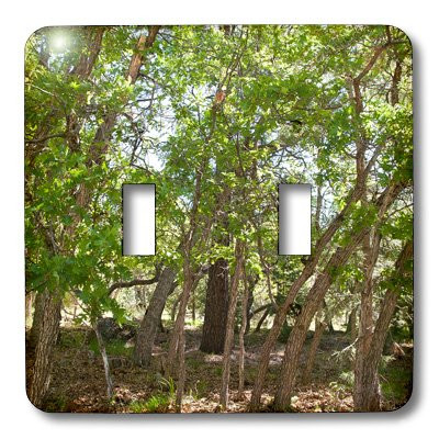 3dRose lsp_54341_2 A Forest of Trees in Pine Valley Utah with Green and Browns Double Toggle Switch