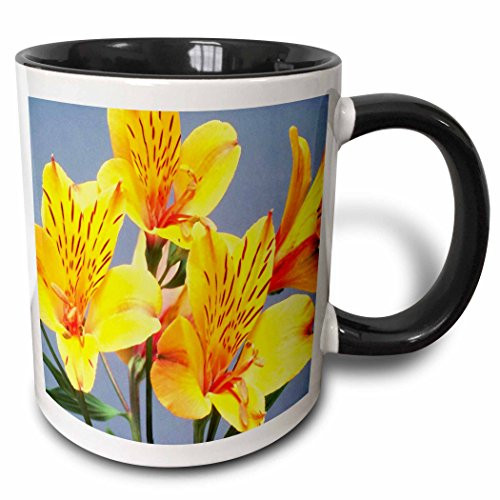 3dRose mug_59776_4"Orange n Yellow Tiger Lillies" Two Tone Black Mug, 11 oz, Multicolor