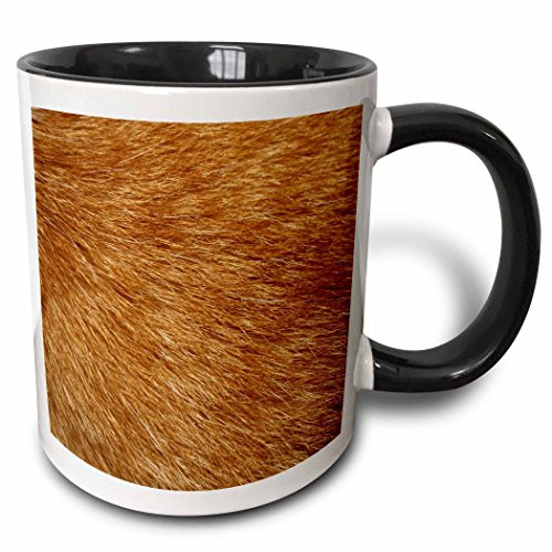 3dRose mug_80386_4"Orange Tabby Cat Fur" Two Tone Black Mug, 11 oz, Multicolor