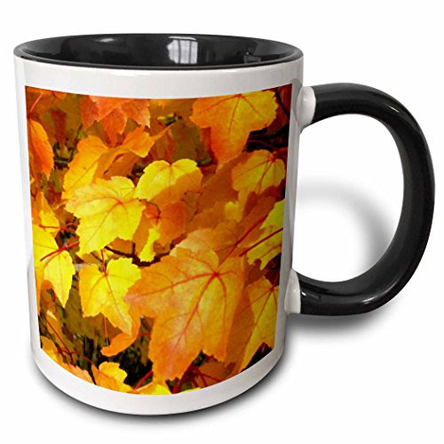 3dRose Beautiful Orange And Gold Fall Leaves - Two Tone Black Mug, 11 oz, Multicolor