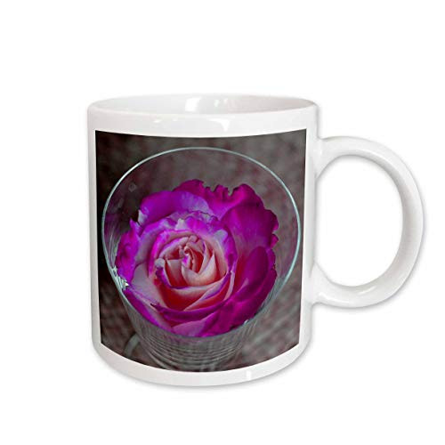 3dRose Pink Rose in a Glass Ceramic Mug, 15-Ounce