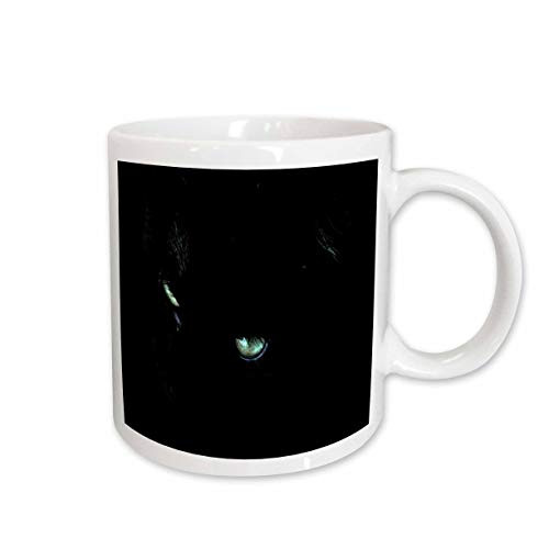 3dRose Close Up of Black Cat Mug, 11-Ounce