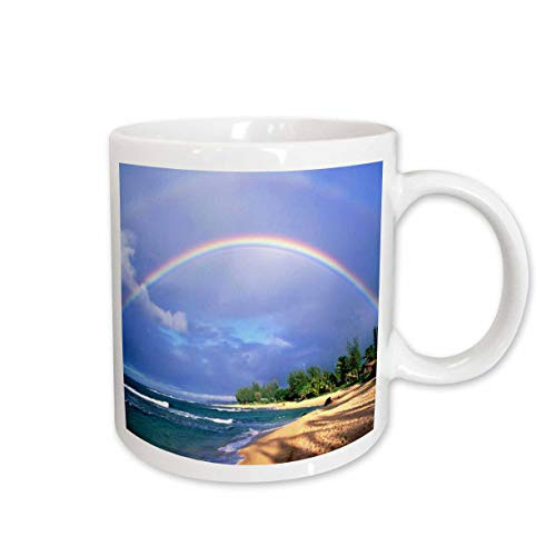 3dRose Double Rainbow in Kauai Hawaii Ceramic Mug, 15-Ounce