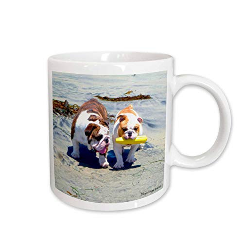 3dRose mug_46505_2"The English Bulldog Stroll" Ceramic Mug, 15 oz, Multicolor 3dRose mug_46505_2"The English Bulldog Stroll" Ceramic Mug, 15 oz, Multicolor