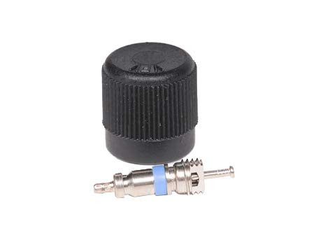 ACDelco 12570619 GM Original Equipment Fuel Injection Fuel Pressure Service Kit with Valve and Cap