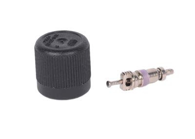 ACDelco 12584592 GM Original Equipment Fuel Injection Fuel Pressure Service Kit with Valve and Cap