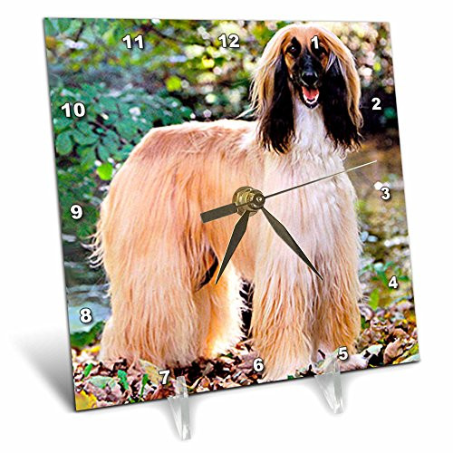 3dRose LLC Afghan Hound 6 by 6-Inch Desk Clock