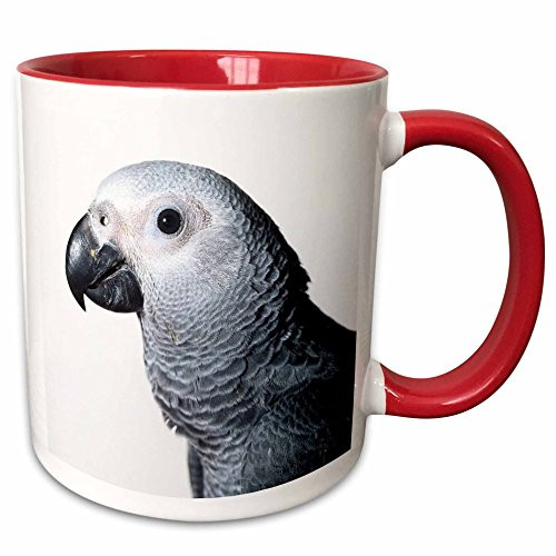 3dRose African Grey Parrot Ceramic Mug, 11 oz, Red/White