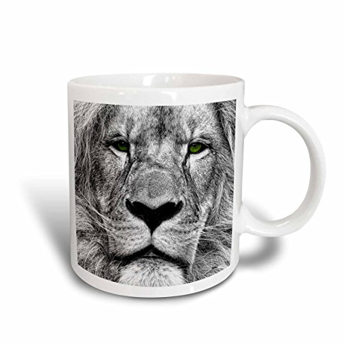 3dRose mug_164743_1 African Lion Digital Pencil Drawing with Green Eyes Ceramic Mug, 11-Ounce