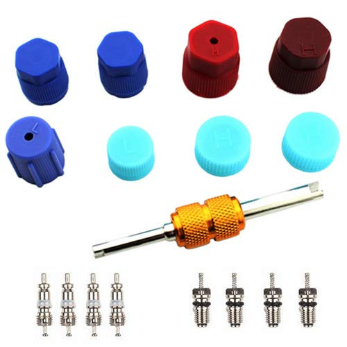 Air Conditioning Valve Core Kit | Car & Home AC R12 R134a Teflon Seal Refrigeration Schrader Valve Core with Valve Stem Core Rmover Tool Air Conditioning AC System Charging Port Seal Caps Kit