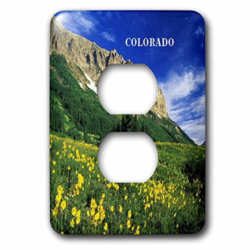 3dRose lsp_61893_6 Alpine Meadow In Colorado 2 Plug Outlet Cover
