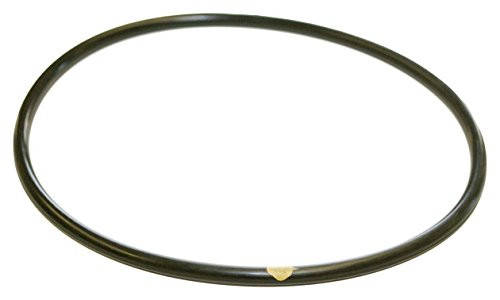 Hayward CLX200K Pool Chlorinator Lid O-Ring for CL200/CL220