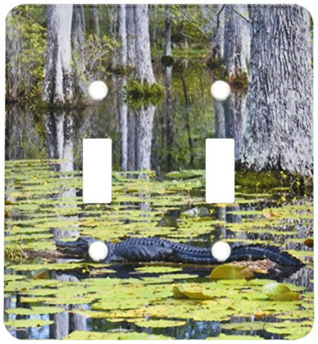 3dRose lsp_94248_2 South Carolina, Cypress Gardens Alligator, Swamp Us41 Bja0009 Jaynes Gallery Double Toggle Switch