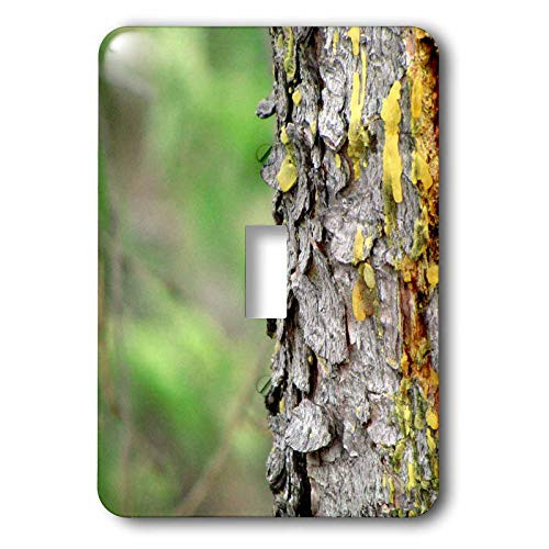 3dRose LLC lsp_21611_1 Bark and Leaves Contrast Single Toggle Switch