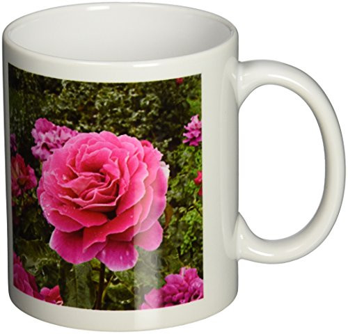 3dRose Beautiful Pink Rose Ceramic Mug, 11-Ounce