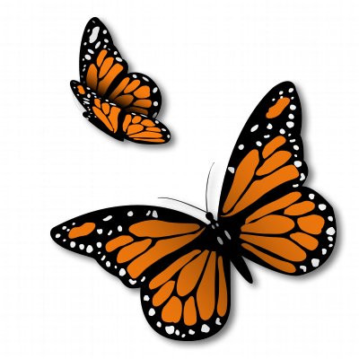 AK Wall Art Monarch Butterflies Set of 2 Vinyl Sticker - Car Window Bumper Laptop - Select Size