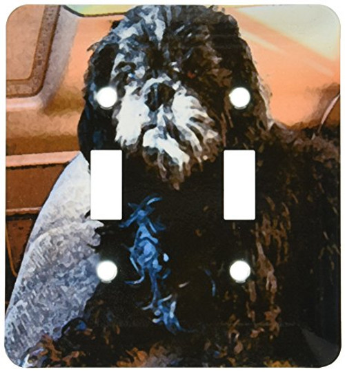 3dRose lsp_49446_2 Black And White Shiatsu Lhasas Doggie Family Pet In The Front Seat Of The Car Done In Poster Finish Toggle Switch 3dRose lsp_49446_2 Black And White Shiatsu Lhasas Doggie Family Pet In The Front Seat Of The Car Done In Poster Finish Toggle Switch