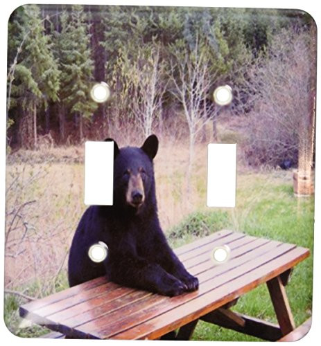 3dRose lsp_100971_2 Black Bear Ready For Lunch Double Toggle Switch
