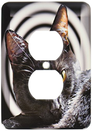 3dRose lsp_17306_6"Black Cats Spell Outlet Cover