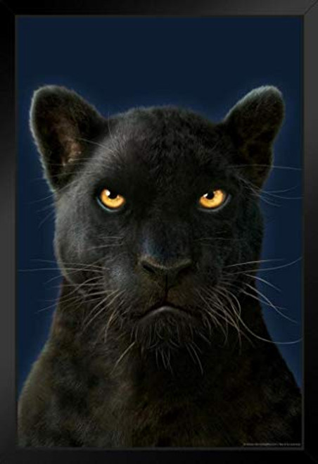 Black Panther Portrait by Vincent HIE Art Print Black Wood Framed Poster 14x20 Black Panther Portrait by Vincent HIE Art Print Black Wood Framed Poster 14x20