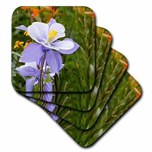 3dRose CST_36356_2 Blue Columbine 'Colorado State Flower' Soft Coasters, Set of 8