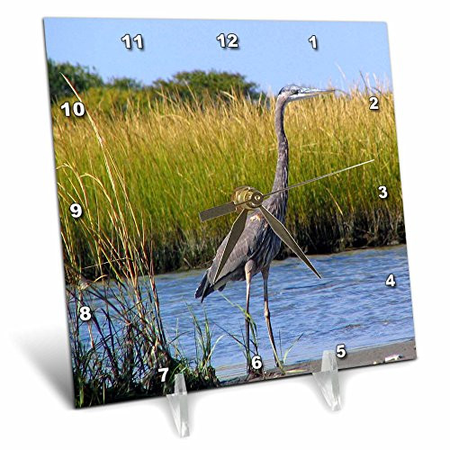 3dRose LLC Blue Heron 6 by 6-Inch Desk Clock 3dRose LLC Blue Heron 6 by 6-Inch Desk Clock